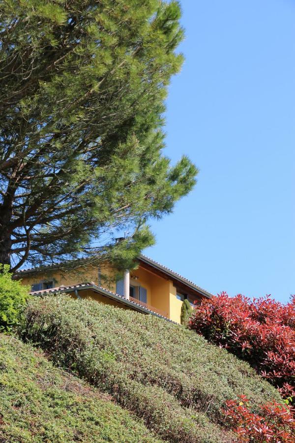 Le Vallon De Saint Andre Limonest Exterior photo