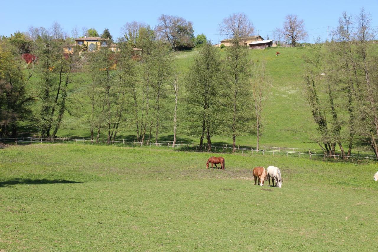 Le Vallon De Saint Andre Limonest Exterior photo